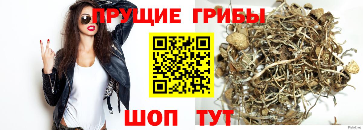 Реутов  Псилоцибиновые грибы GOLDEN TEACHER  Вход с VPN 